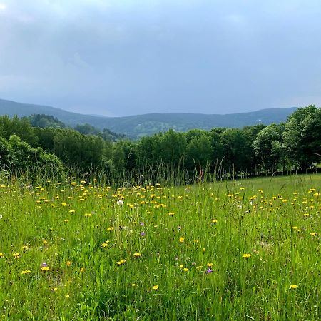 Apartmany Stare-Hory Krkonose Roudnice Buitenkant foto