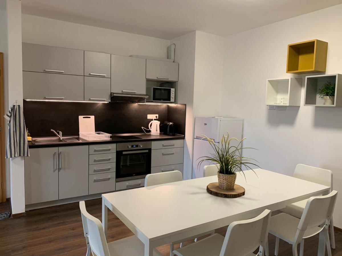 Apartmany Stare-Hory Krkonose Roudnice Buitenkant foto