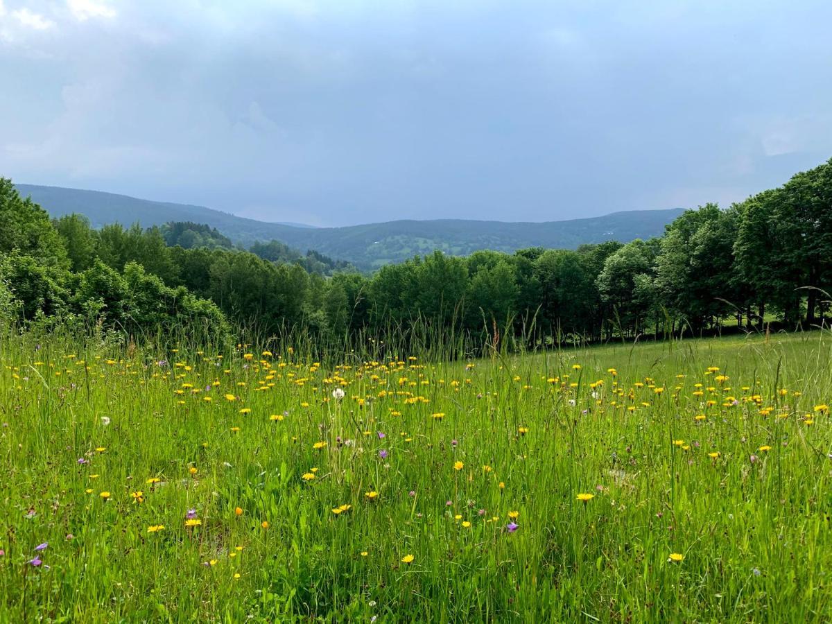 Apartmany Stare-Hory Krkonose Roudnice Buitenkant foto