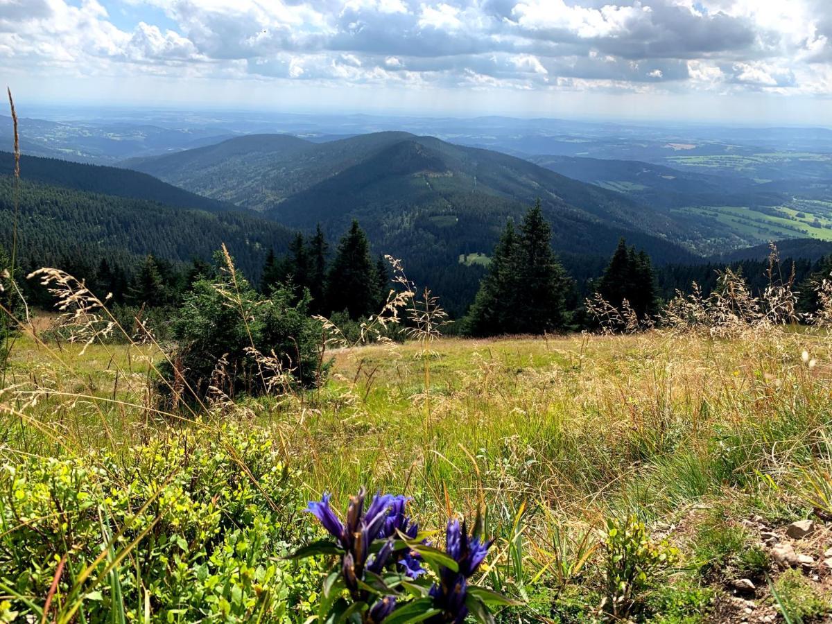 Apartmany Stare-Hory Krkonose Roudnice Buitenkant foto